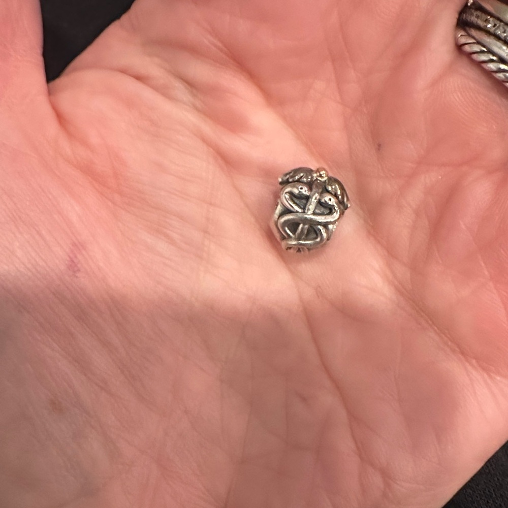 Pandora Retired Life Saver Charm
